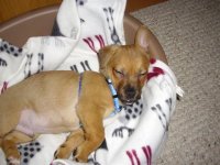 19.12.2009 059 (Custom) (2).JPG