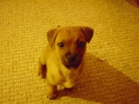 JD600188 (Custom) (2).JPG