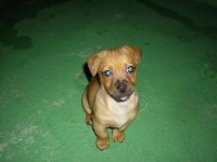 JD600195 (Custom).JPG