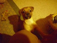 JD600189 (Custom).JPG