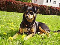 PICT1048 (Custom).JPG