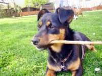 PICT1037 (Custom).JPG