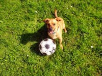 PICT1030 (Custom).JPG