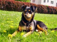 PICT1048 (Custom) (2).JPG