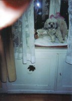 dank an euch allen.jpg