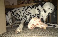 IMG_20111125_173709 - Kopie.jpg