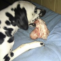 IMG_20111125_173617 - Kopie.jpg