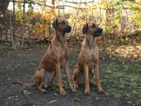 k-unsere Babys 05.11.11 001.jpg