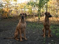 k-unsere Babys 05.11.11 005.jpg