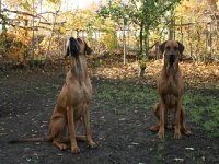 k-unsere Babys 05.11.11 004.jpg