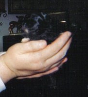 lastscan (800x521).jpg