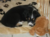 die kleine Lotta..jpg