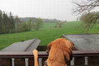 IMG_0956 (Mittel).JPG