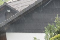 IMG_0959 (Mittel).JPG