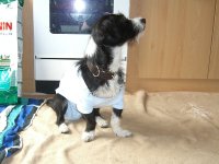 sardinien urlaub 2011 228.jpg