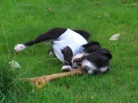 sardinien urlaub 2011 247.jpg