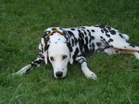 IMG_6462 (Mittel).JPG