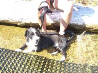 sardinien urlaub 2011 112.JPG