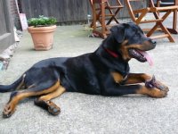 Mit seinem Lieblingsspielzeug.jpg