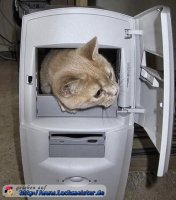 lustiges_bild_pc-katzenhaus.jpg