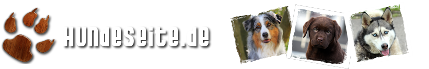 Hundeforum -> Das Hunde Forum von Hundeseite.de
