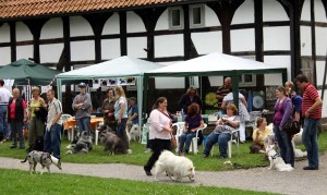 Spitze in Dörentrup 27. bis 28. Juni 2009 hundeseite01