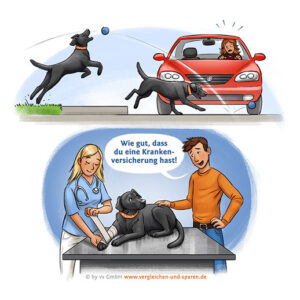 hunde krankenversicherung