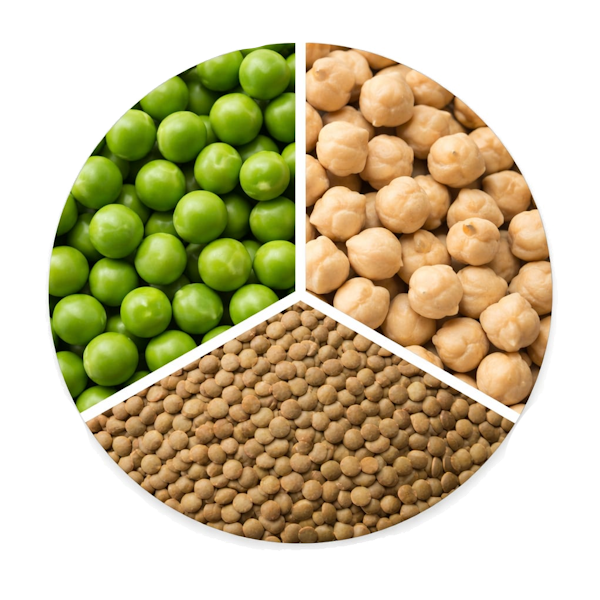 hundefutter-erbsen-linsen